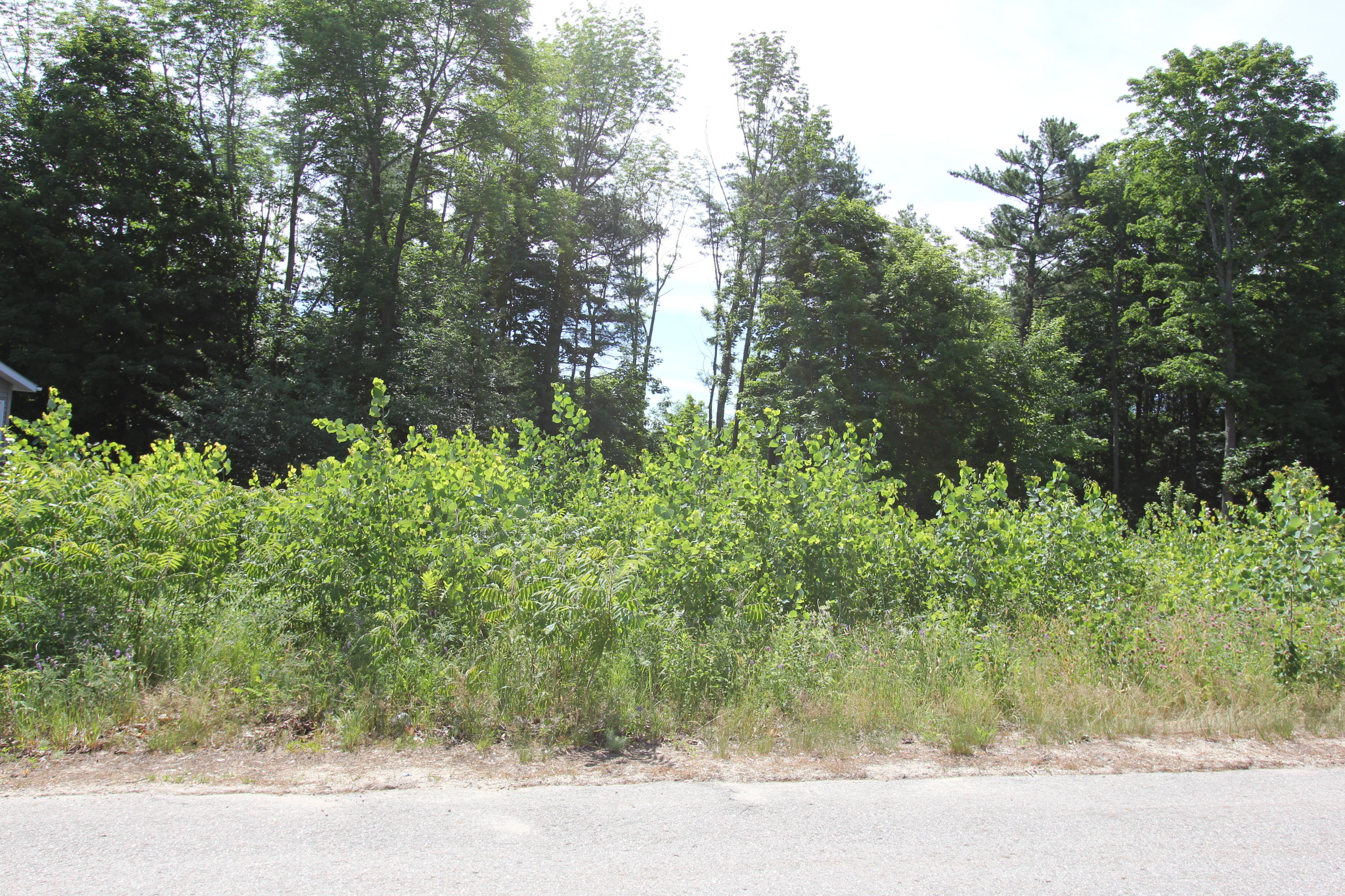51 Hillcrest Avenue Lewiston ME 04240