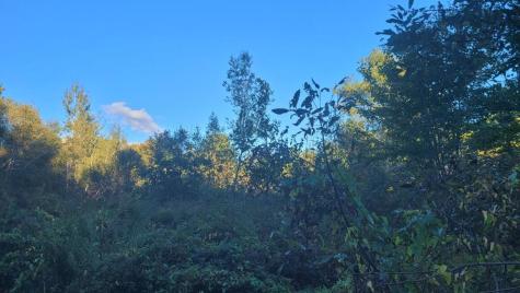 36d Thomes Way Cumberland ME 04021