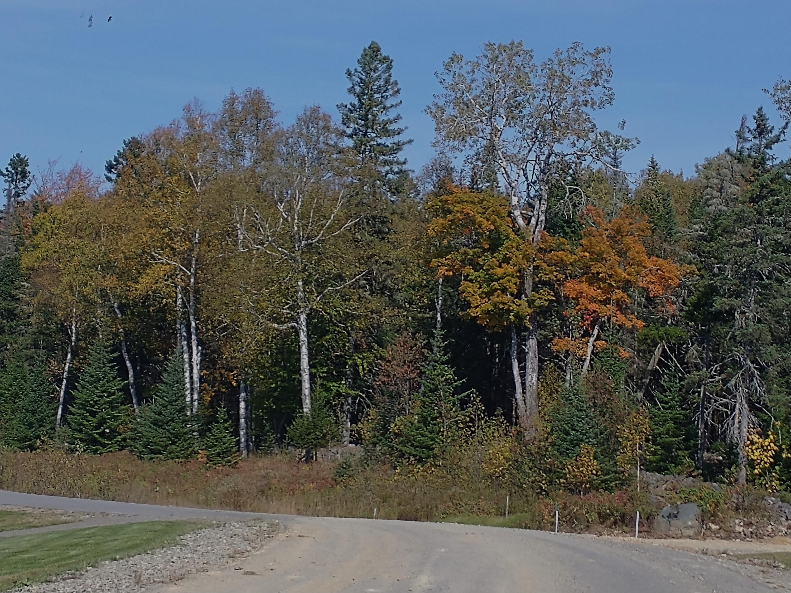 92 Big Snow Way Rangeley ME 04970