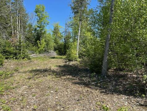 Lot 2 Mt. Jefferson Heights Lee ME 04455