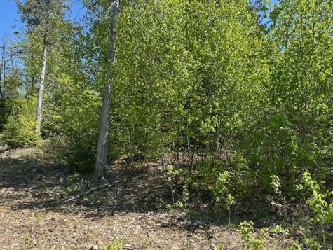 Lot 2 Mt. Jefferson Heights Lee ME 04455