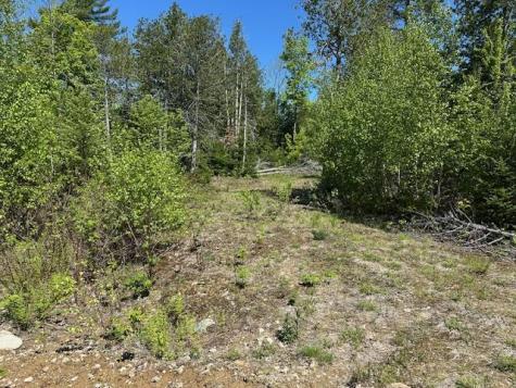 Lot 2 Mt. Jefferson Heights Lee ME 04455