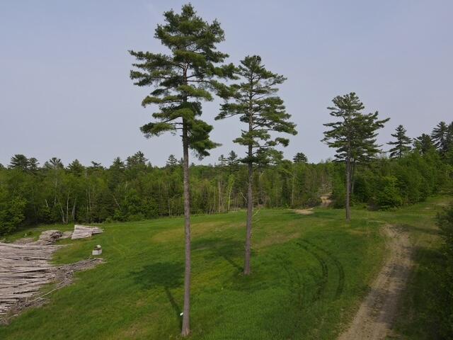 Lot 2 Mt. Jefferson Heights Lee ME 04455
