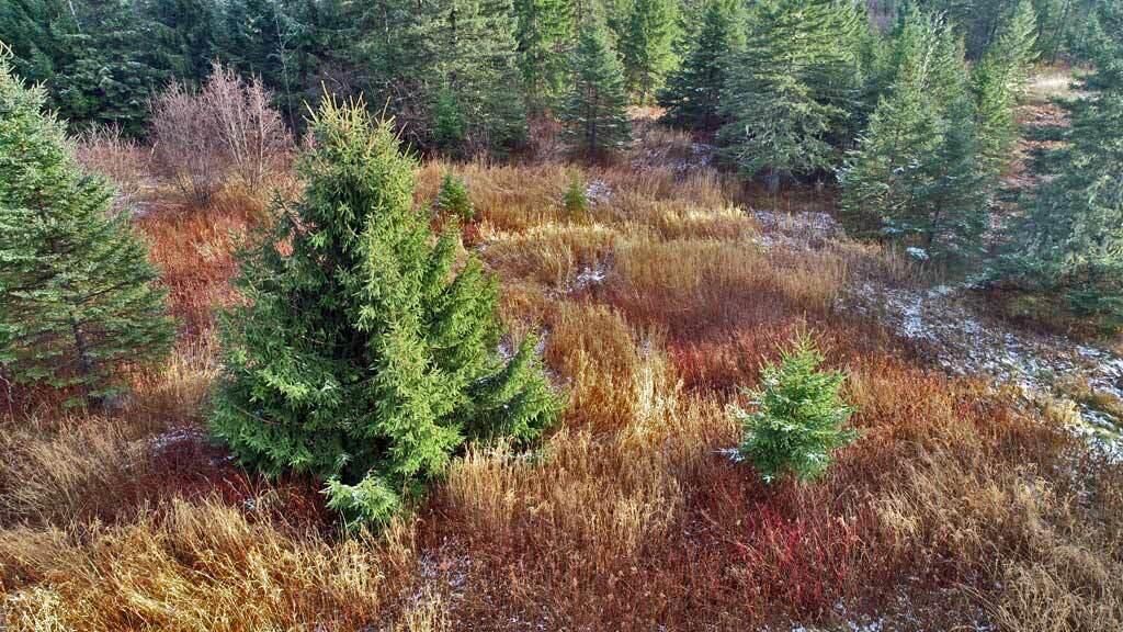 Lot 7 Bangor Road Linneus ME 04730