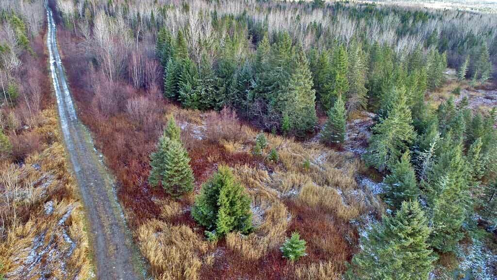 Lot 7 Bangor Road Linneus ME 04730