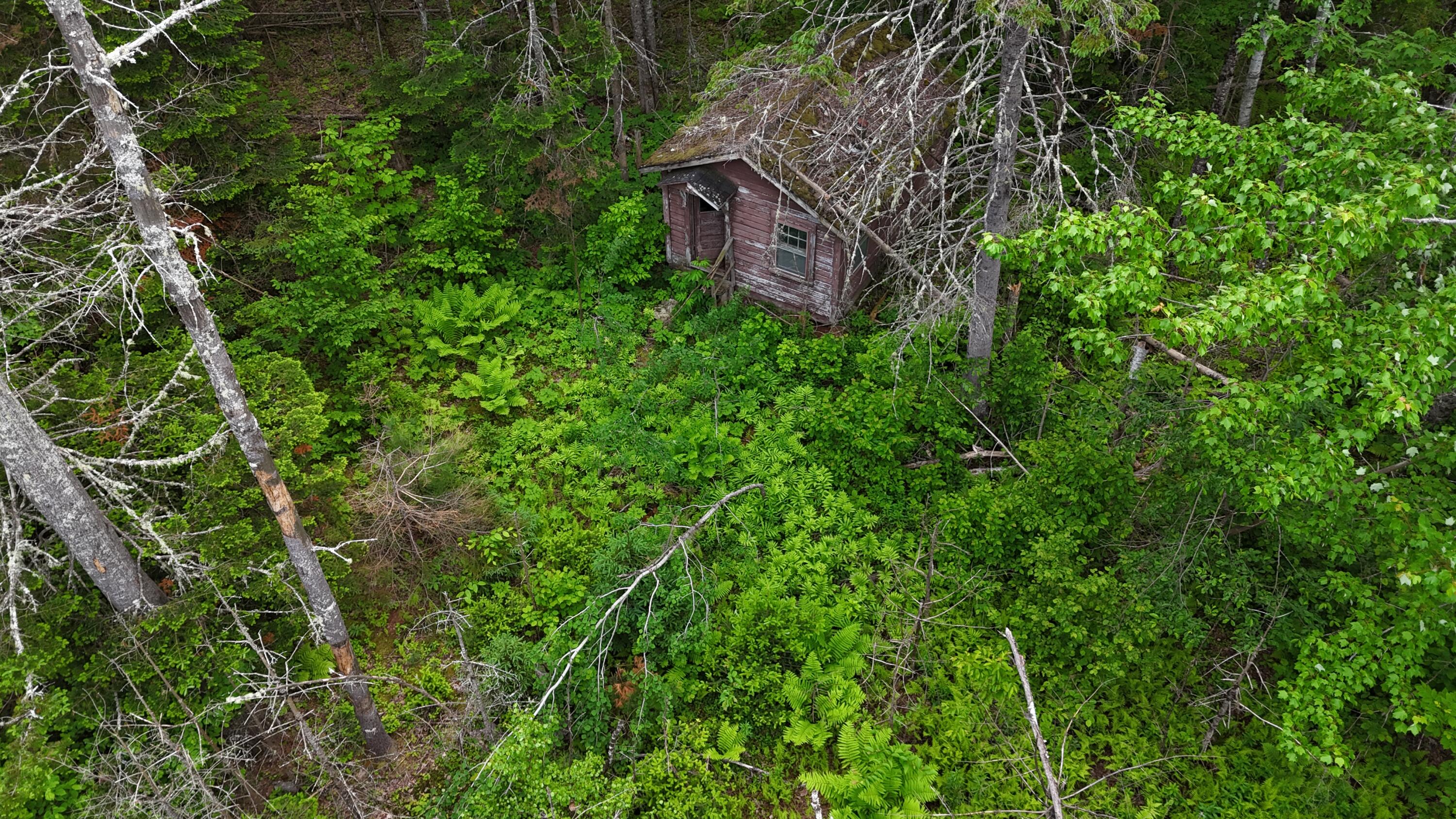 Tbd Old County Road Saint Albans ME 04971