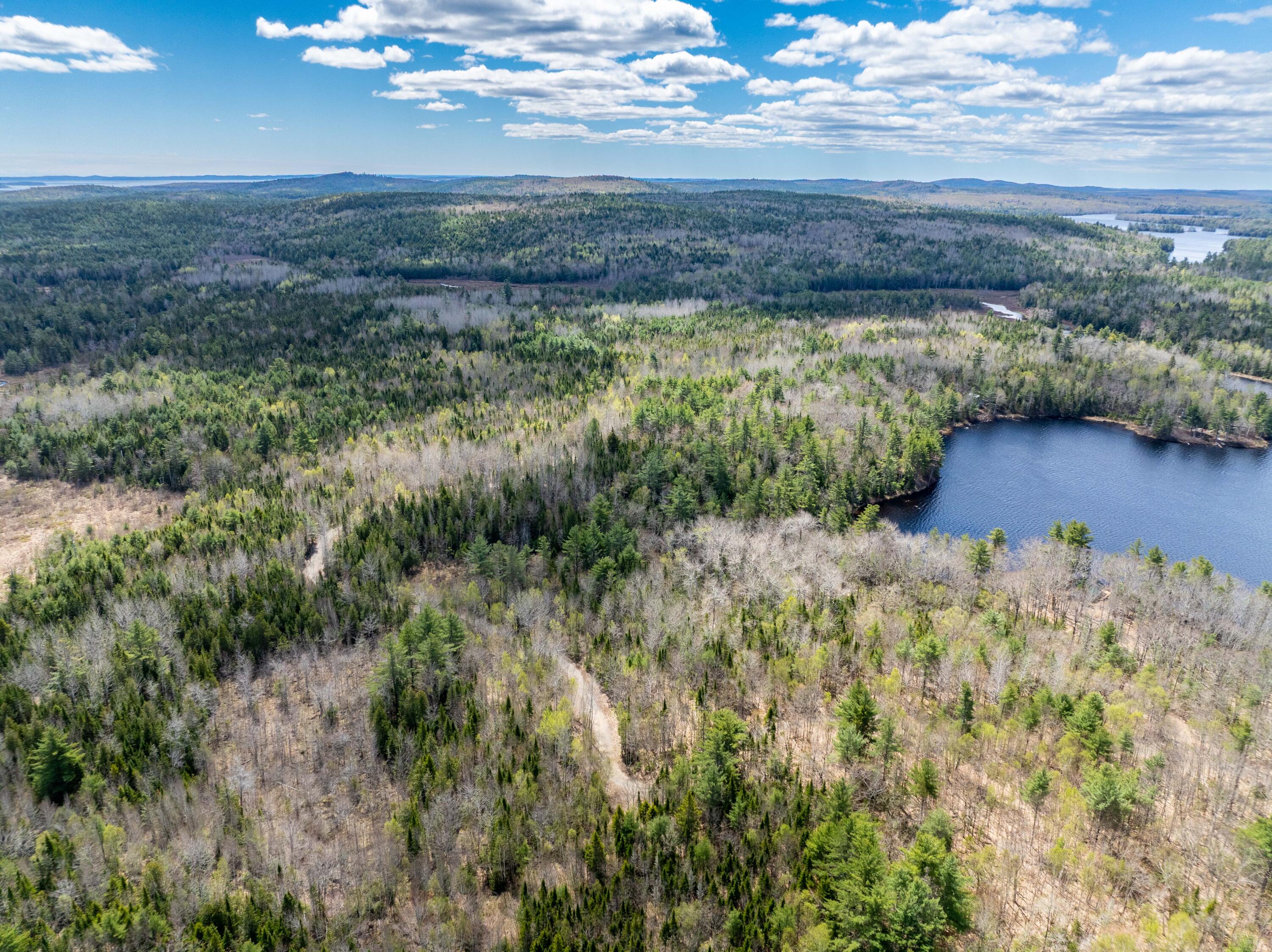 Lot 99 X Road Calais ME 04619