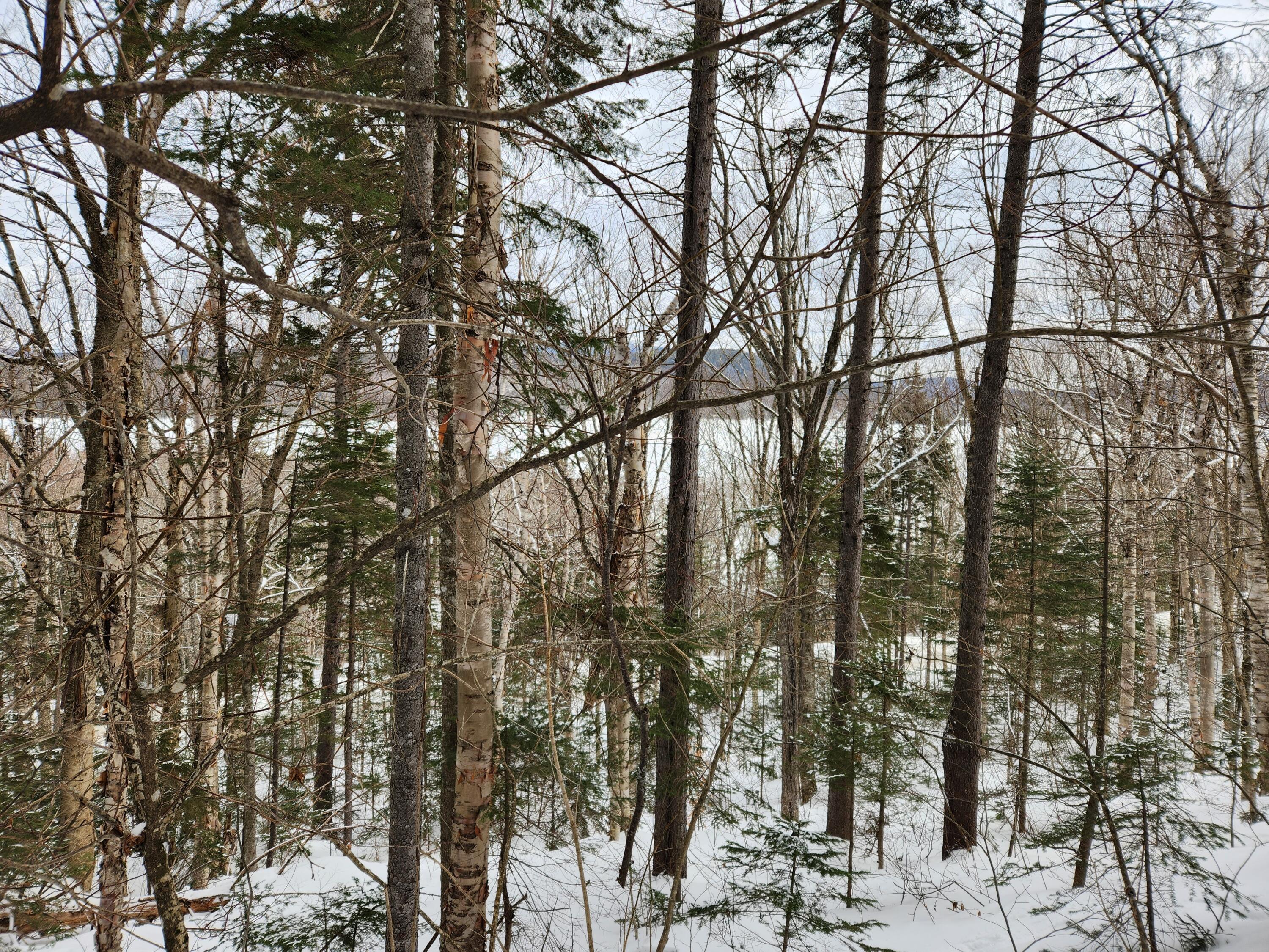 18, 19, 21 Edelheid Road Sandy River Plt ME 04970