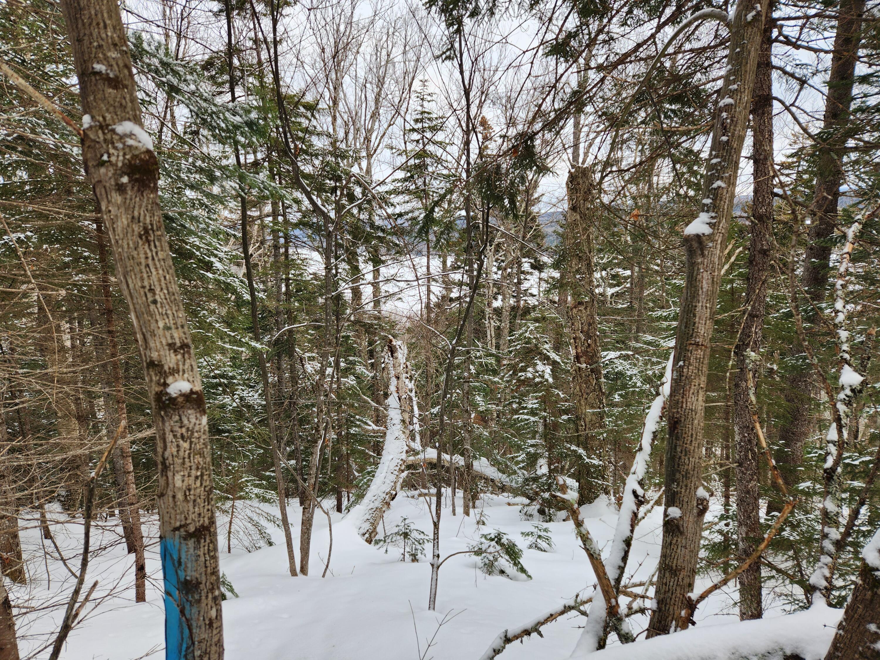 18, 19, 21 Edelheid Road Sandy River Plt ME 04970