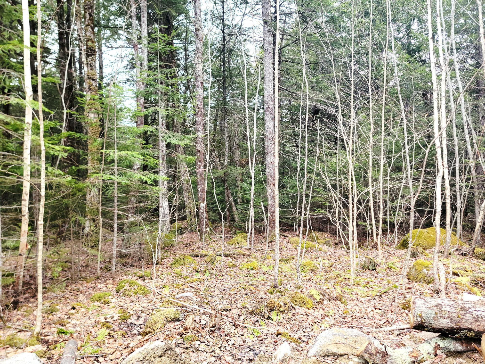 Lot B-2 Pioneer Path Aurora ME 04408