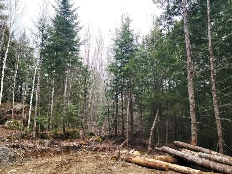 Lot B-2 Pioneer Path Aurora ME 04408
