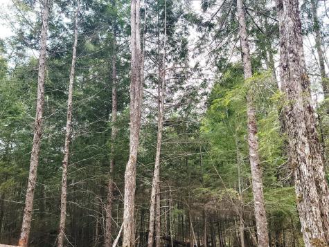 Lot B-2 Pioneer Path Aurora ME 04408