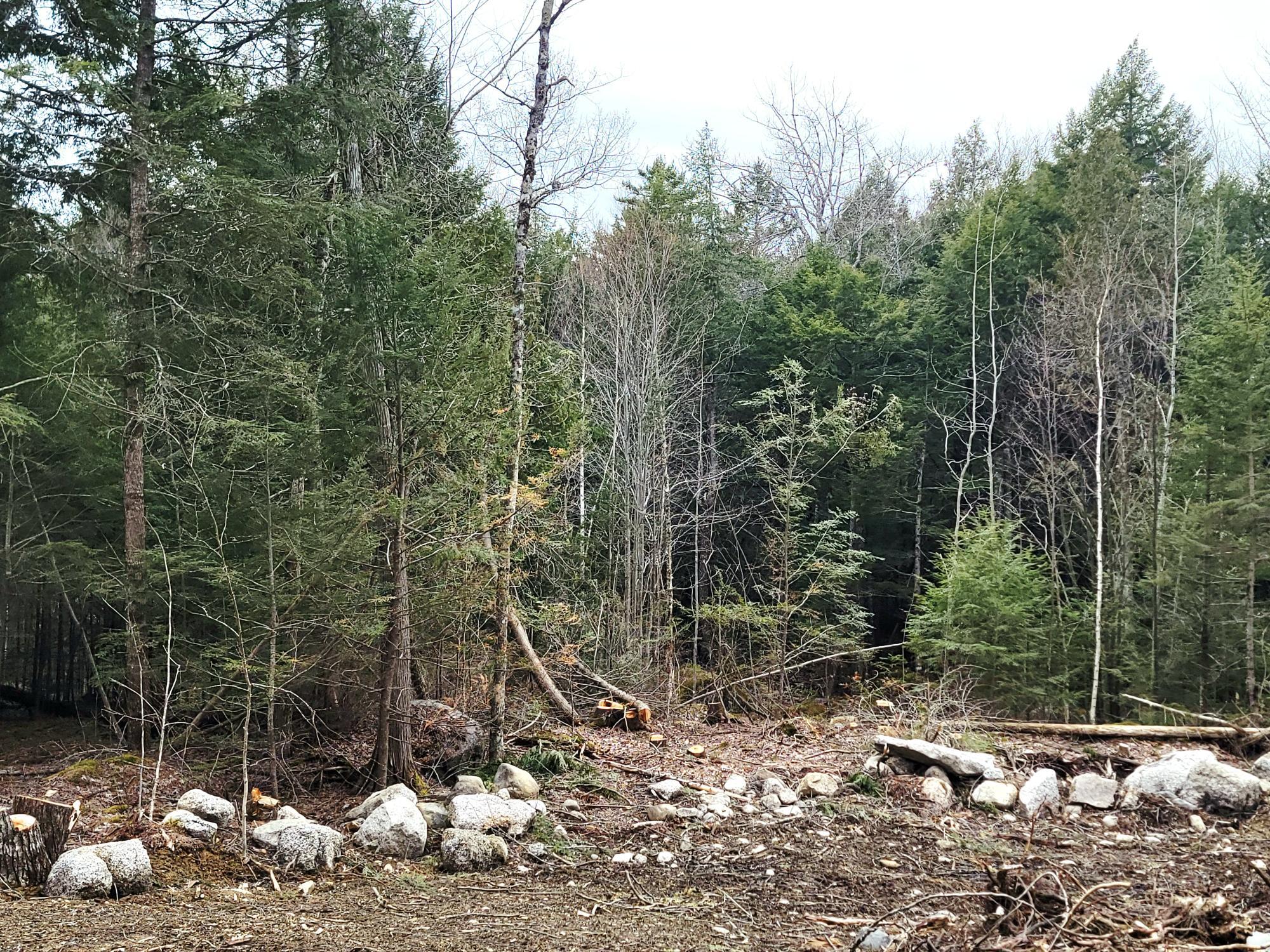 Lot B-2 Pioneer Path Aurora ME 04408