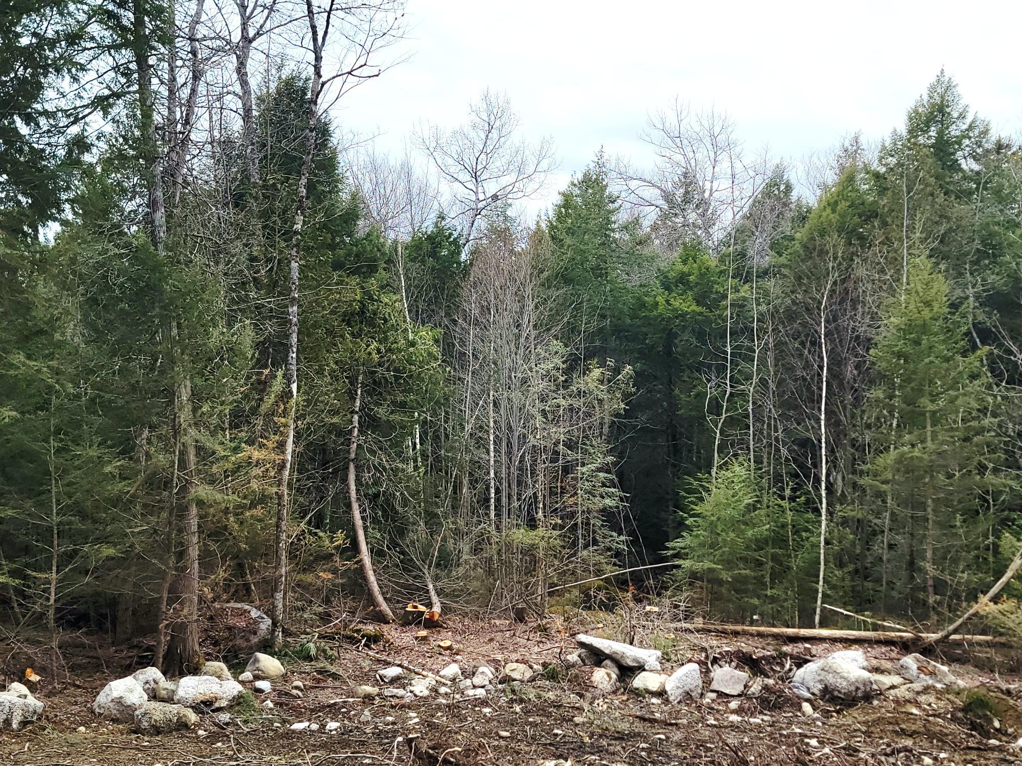 Lot B-2 Pioneer Path Aurora ME 04408