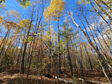 M17-L19 Mile Hill Road New Sharon ME 04955