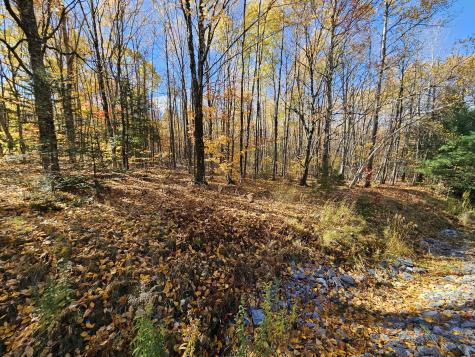 M17-L19 Mile Hill Road New Sharon ME 04955