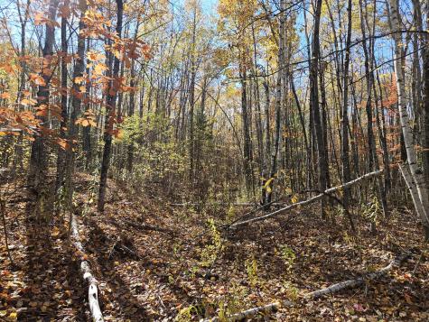 M17-L19 Mile Hill Road New Sharon ME 04955