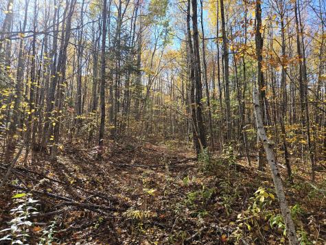 M17-L19 Mile Hill Road New Sharon ME 04955