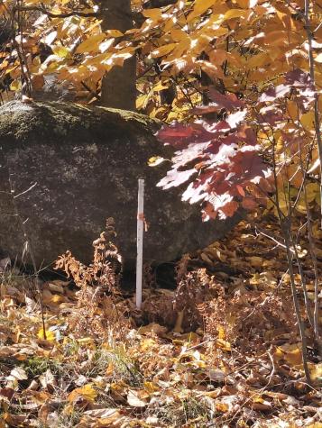 M17-L19 Mile Hill Road New Sharon ME 04955