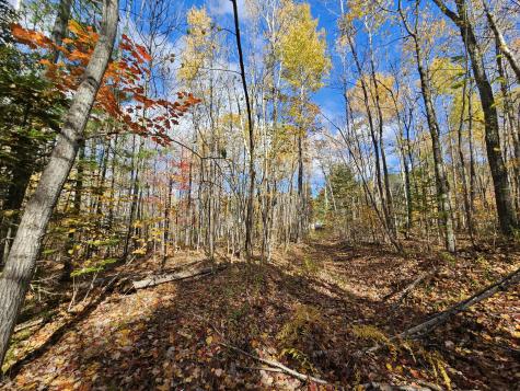 M17-L19 Mile Hill Road New Sharon ME 04955