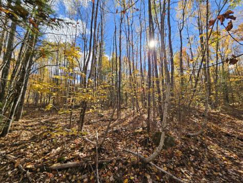 M17-L19 Mile Hill Road New Sharon ME 04955