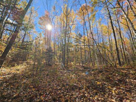 M17-L19 Mile Hill Road New Sharon ME 04955