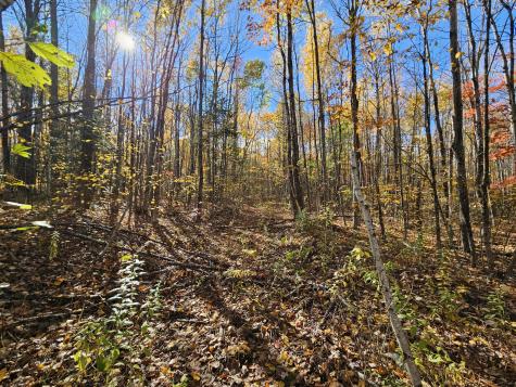 M17-L19 Mile Hill Road New Sharon ME 04955