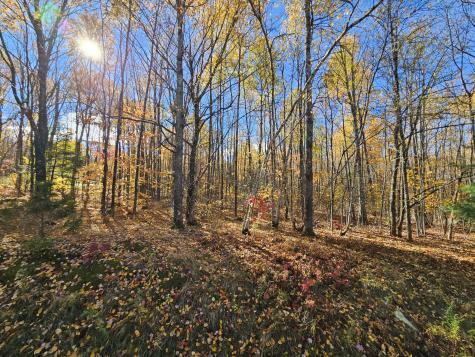 M17-L19 Mile Hill Road New Sharon ME 04955