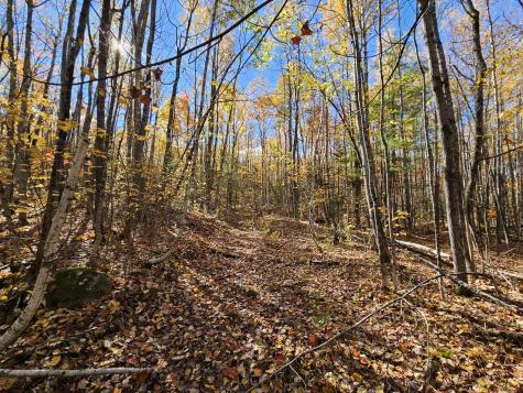 M17-L19 Mile Hill Road New Sharon ME 04955