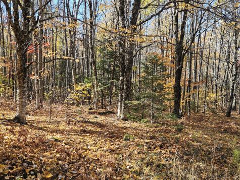 M17-L19 Mile Hill Road New Sharon ME 04955