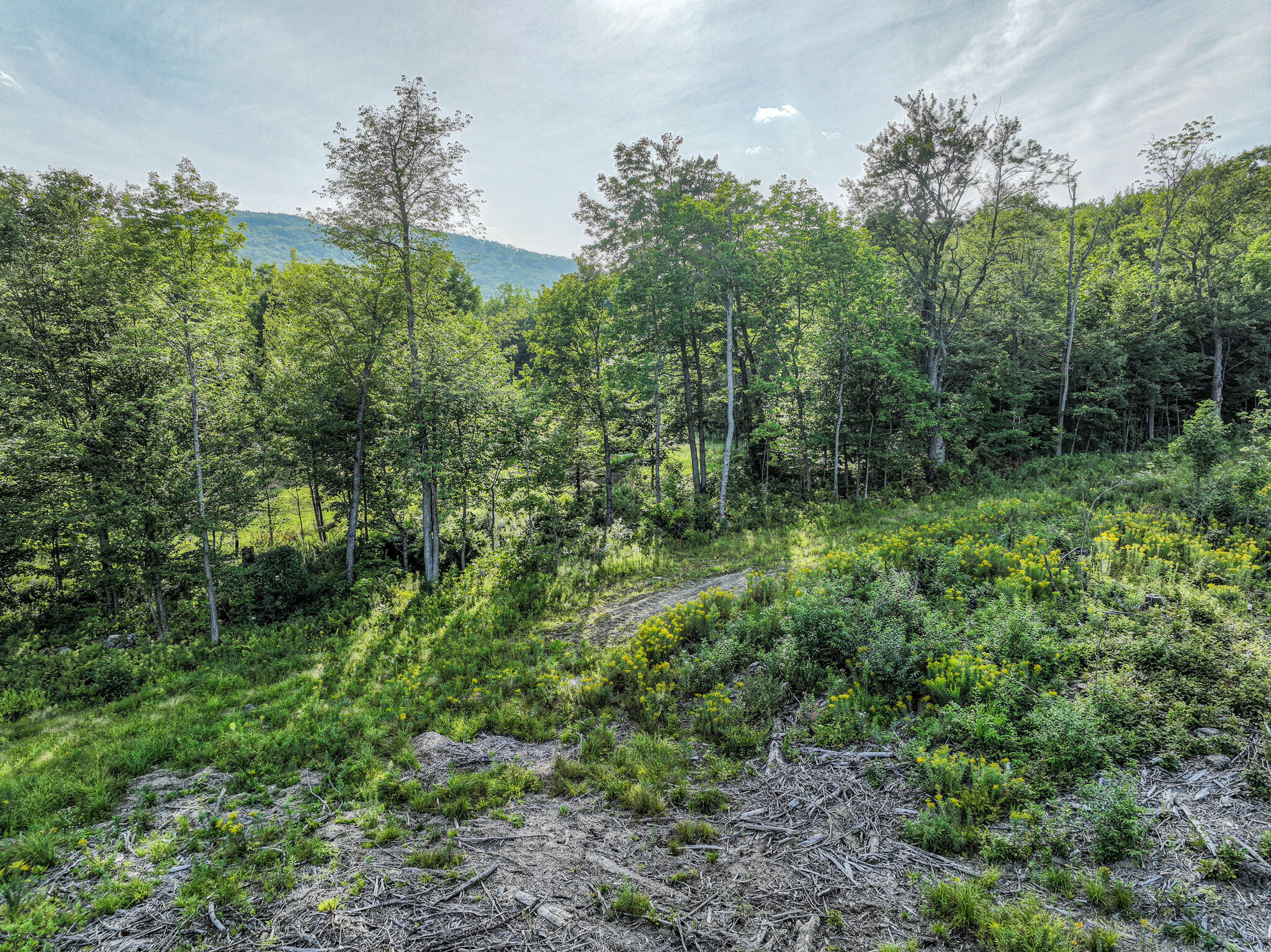 0 Swain Road Rumford ME 04276