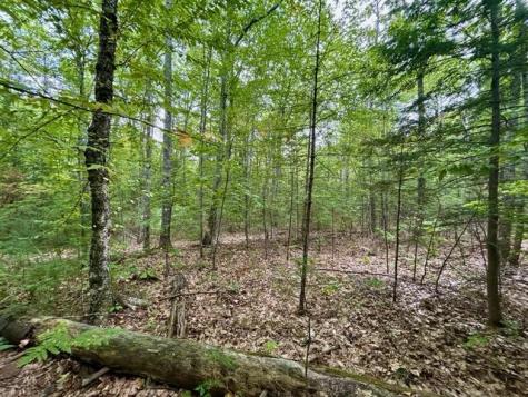 Lot 266 Wildewood Estates Rome ME 04963