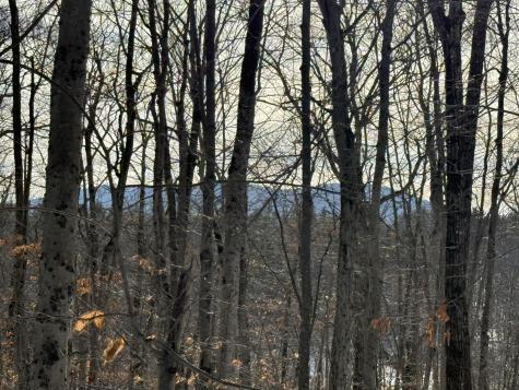 Lot 15-3b Sweden Road Bridgton ME 04009