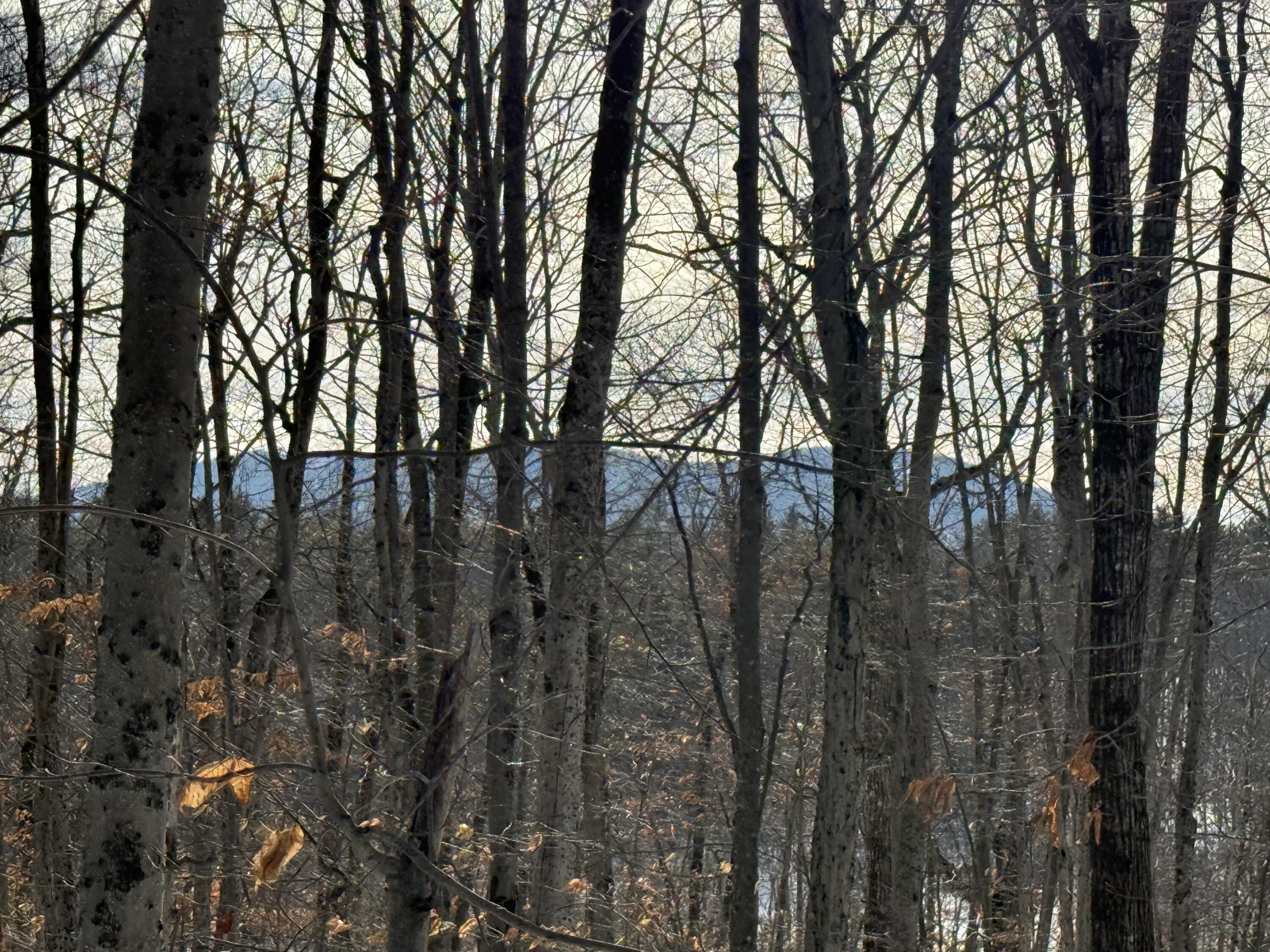 Lot 15-3b Sweden Road Bridgton ME 04009