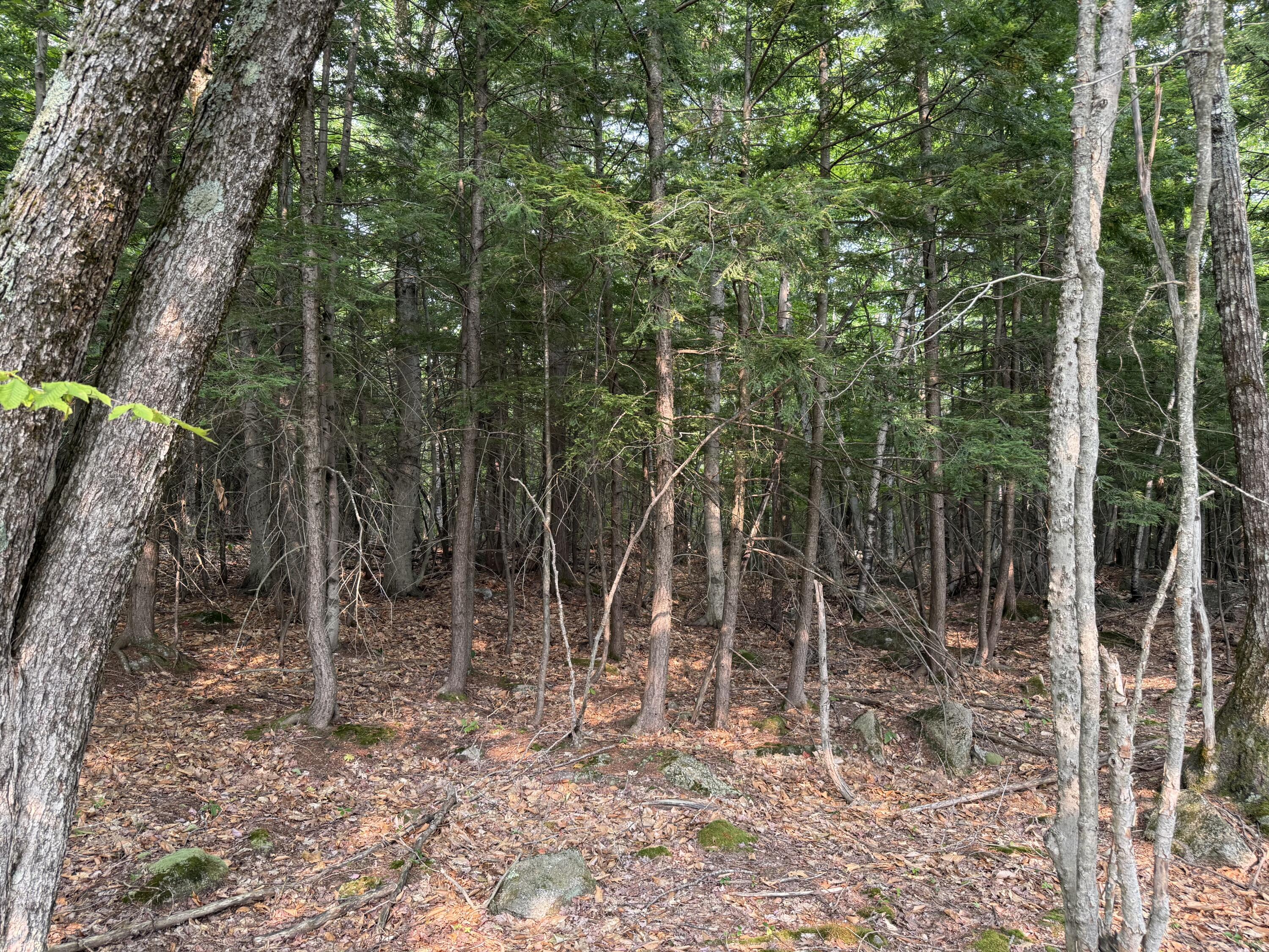 Lot 15-3b Sweden Road Bridgton ME 04009