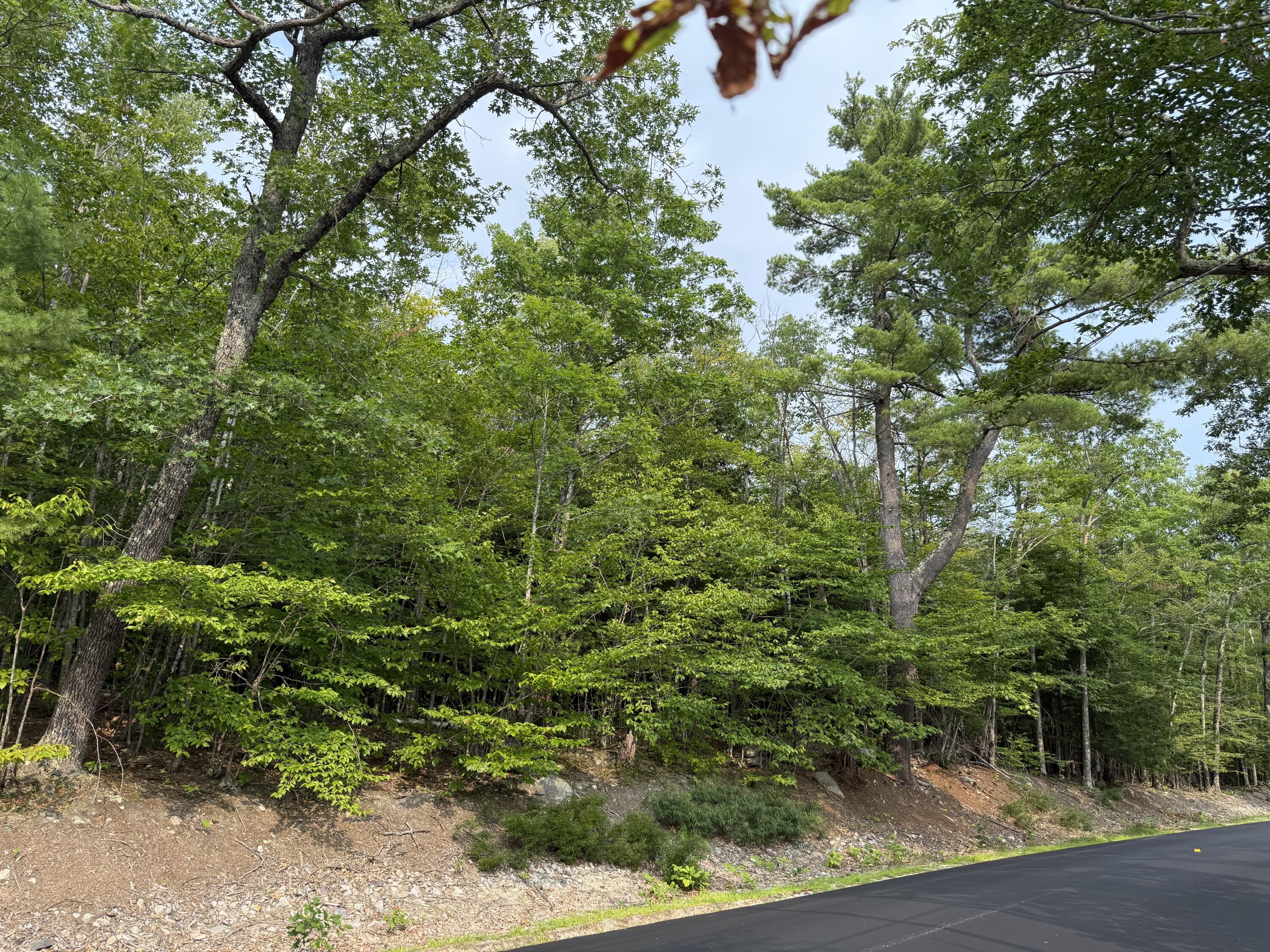 Lot 15-3b Sweden Road Bridgton ME 04009