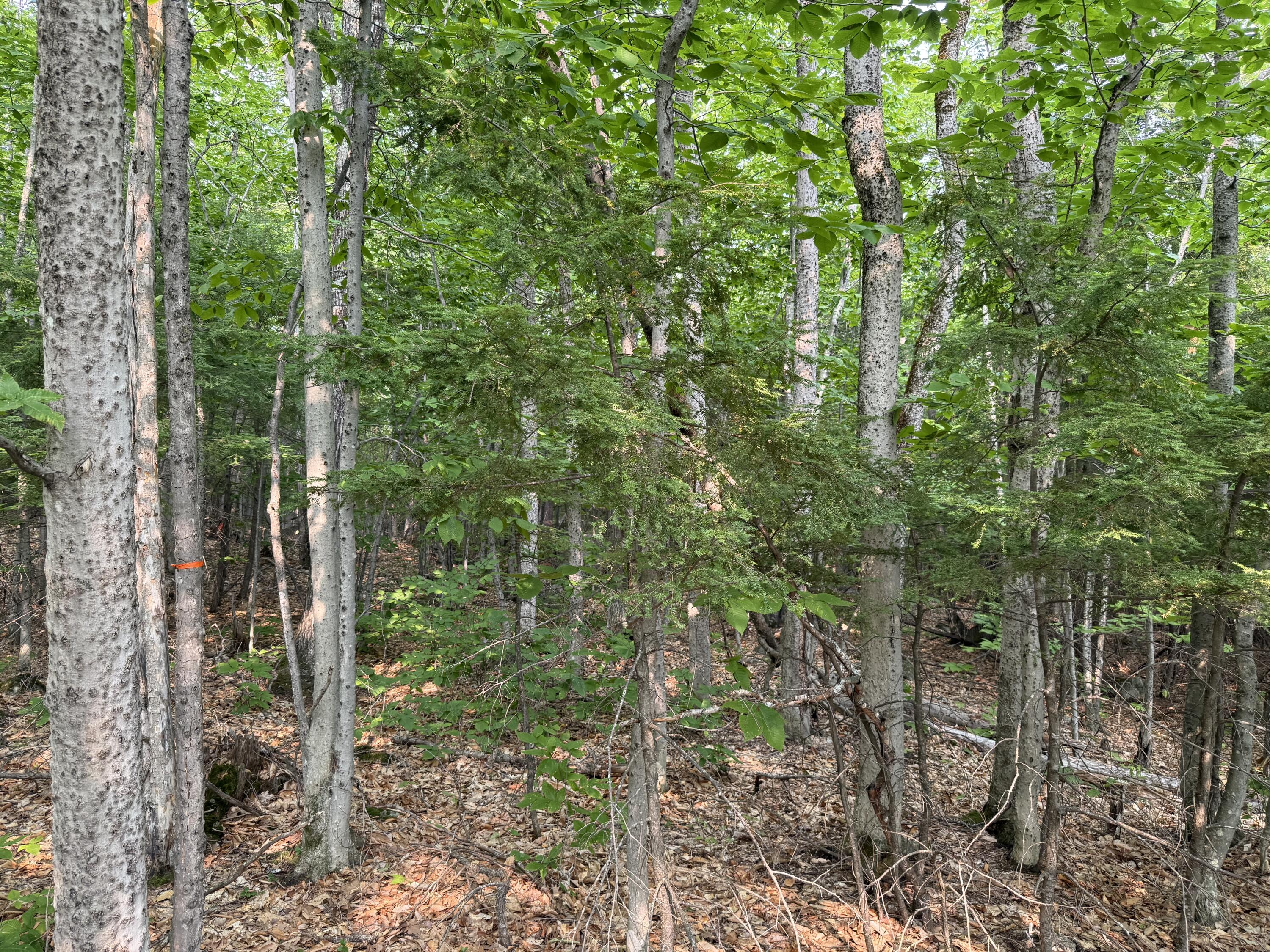 Lot 15-3b Sweden Road Bridgton ME 04009