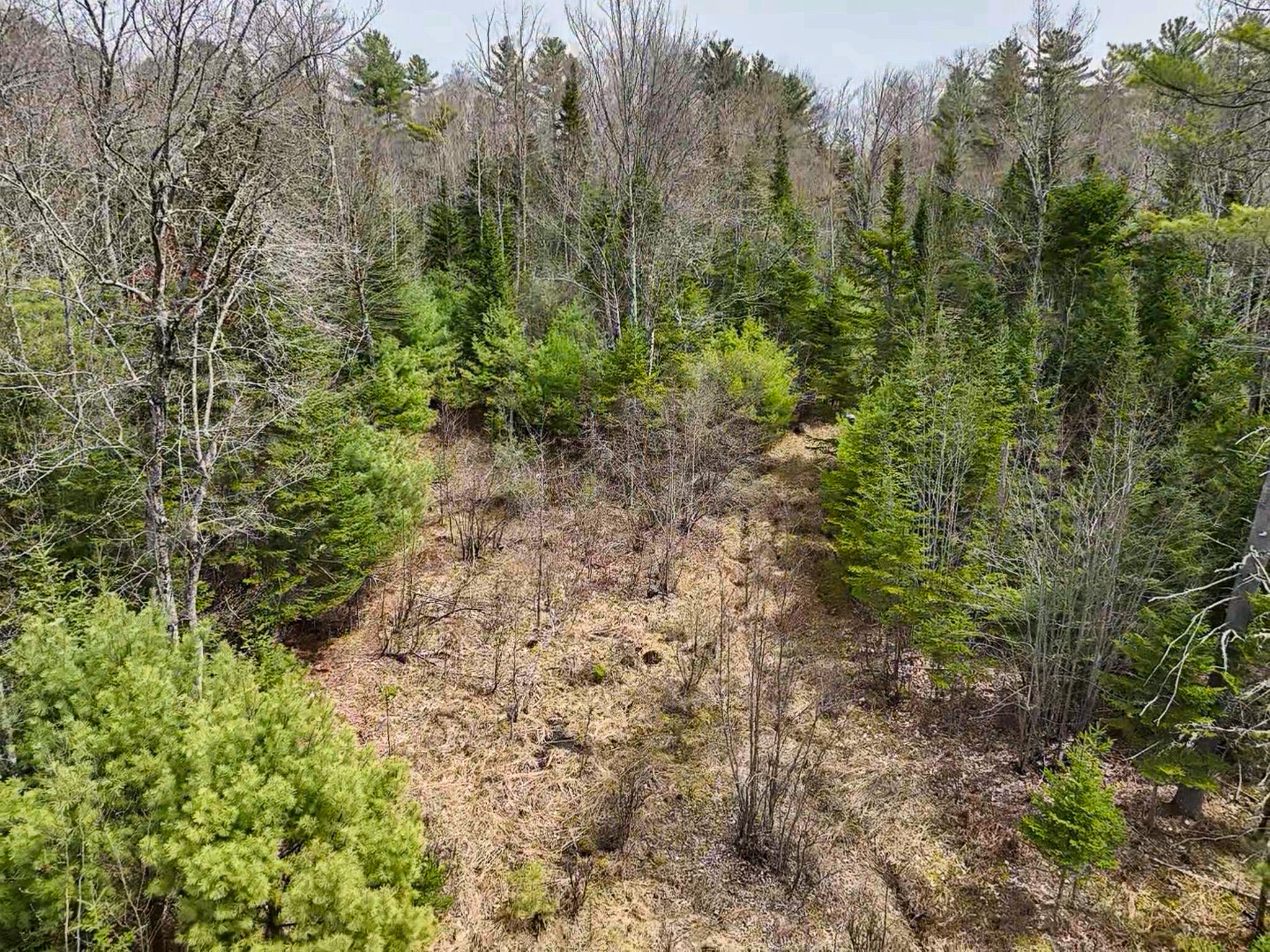 Lot 3 Carthage Road Carthage ME 04224