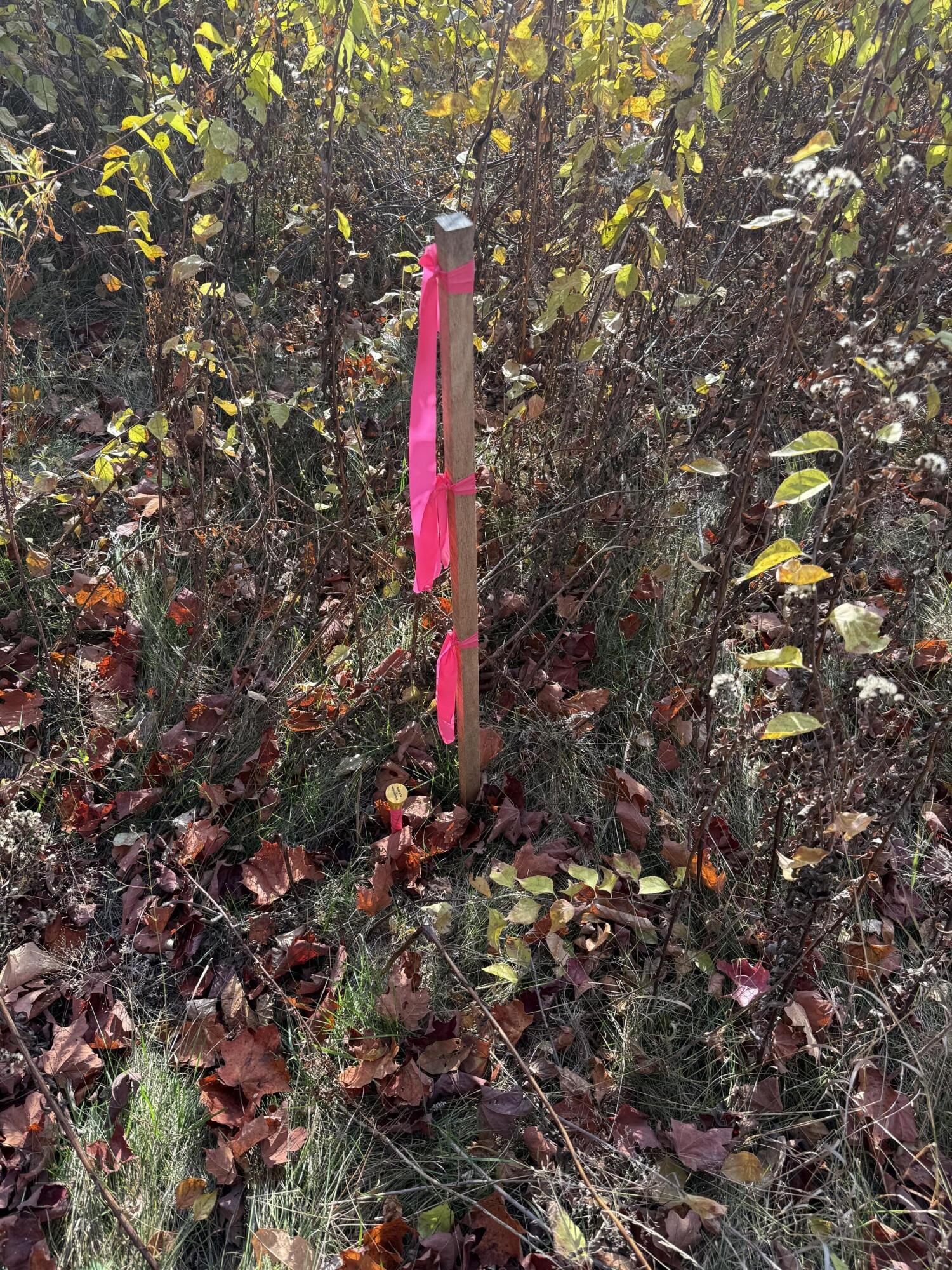 4-21A Walkers Mills Road Bethel ME 04217