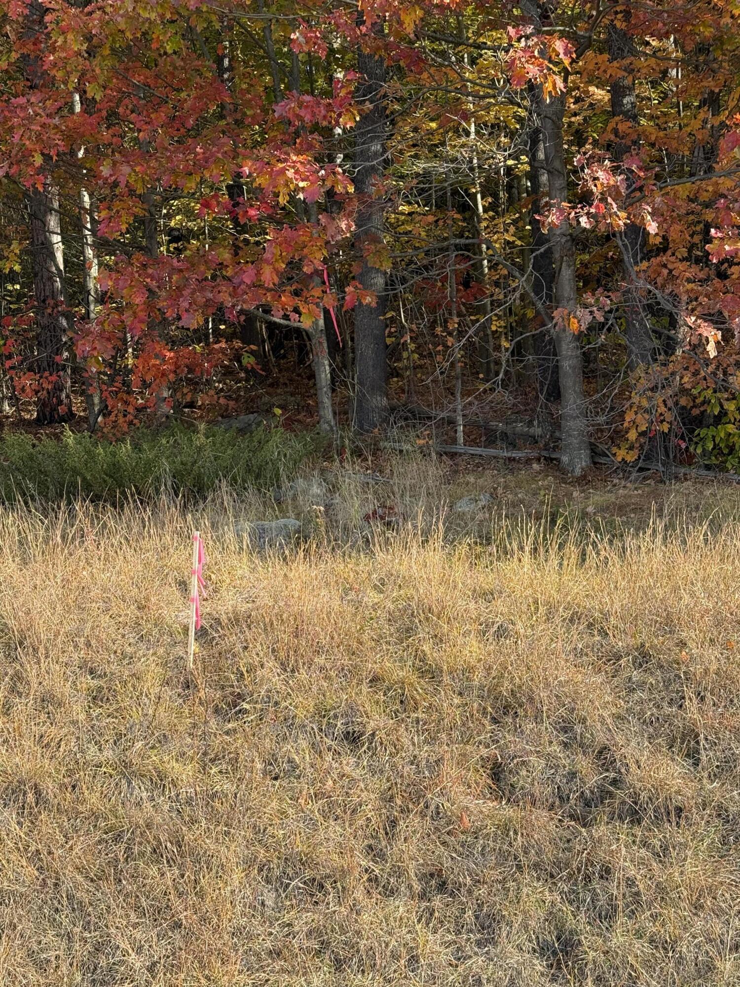 4-21A Walkers Mills Road Bethel ME 04217