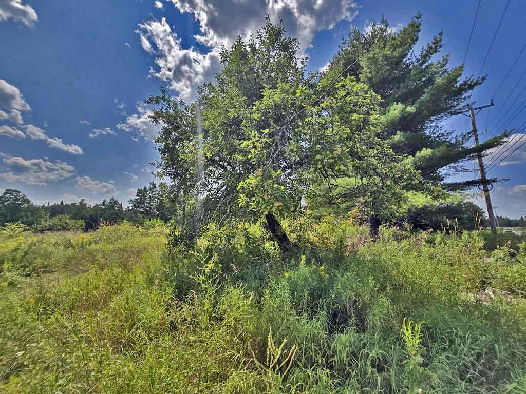 1020 County Road New Limerick ME 04761