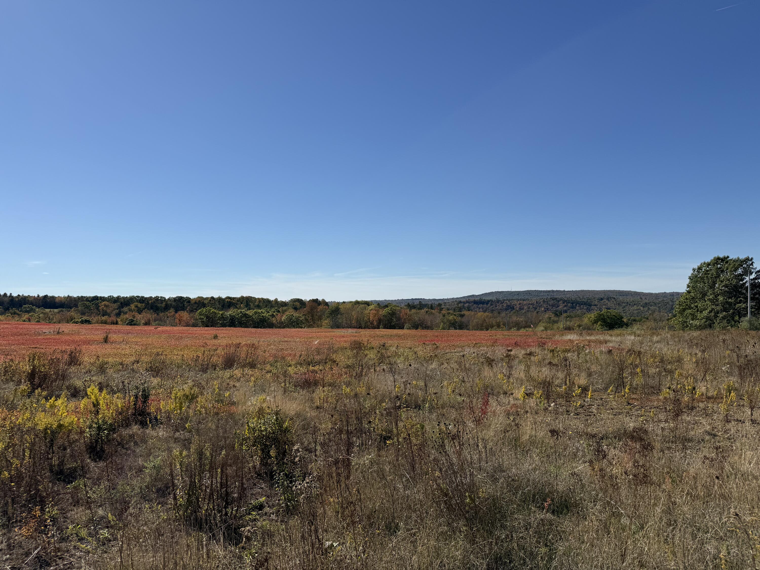 MR2L122-1 Old Country Road Stockton Springs ME 04981