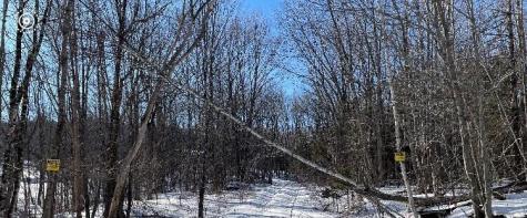 195 Hog Hill Road Dixmont ME 04932