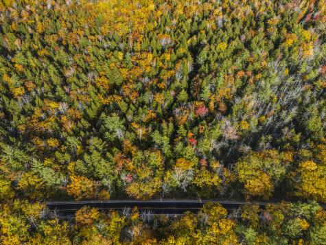 515 Sweden Road Bridgton ME 04009