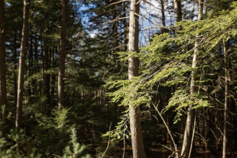 Tbd Branch View Terrace Alfred ME 04002