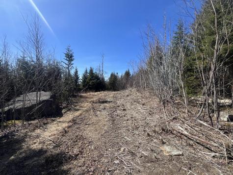 14 Moose Alley Road Temple ME 04984