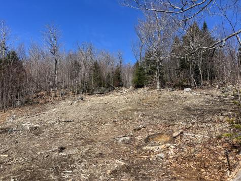 14 Moose Alley Road Temple ME 04984