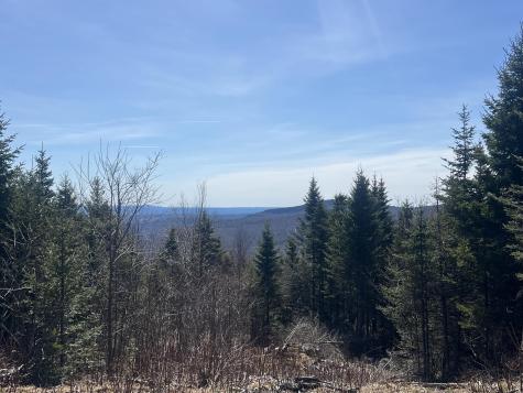 14 Moose Alley Road Temple ME 04984