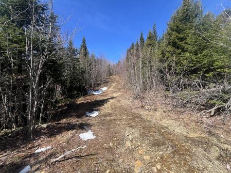 14 Moose Alley Road Temple ME 04984