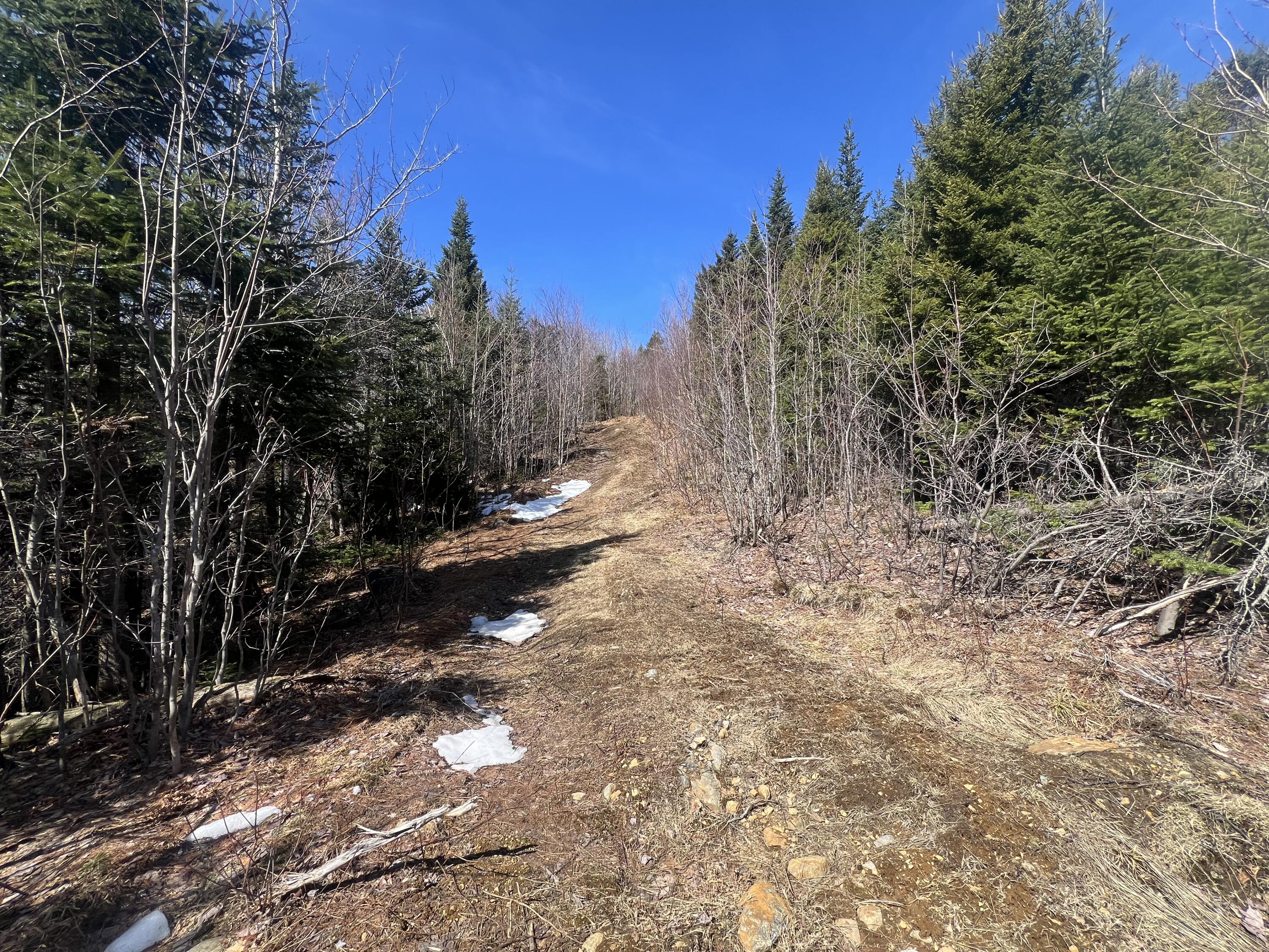 14 Moose Alley Road Temple ME 04984